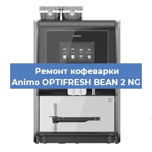 Замена | Ремонт термоблока на кофемашине Animo OPTIFRESH BEAN 2 NG в Новосибирске